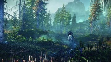 Immagine 58 del gioco The Witcher 3: Wild Hunt per PlayStation 4