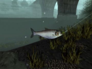 Immagine -3 del gioco Reel Fishing 3 per PlayStation 2