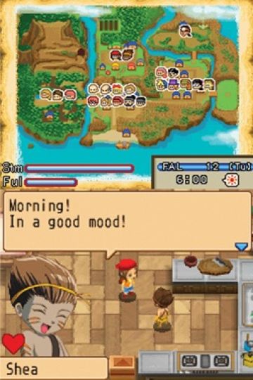 Immagine -4 del gioco Harvest Moon: L'Isola della Felicita' per Nintendo DS