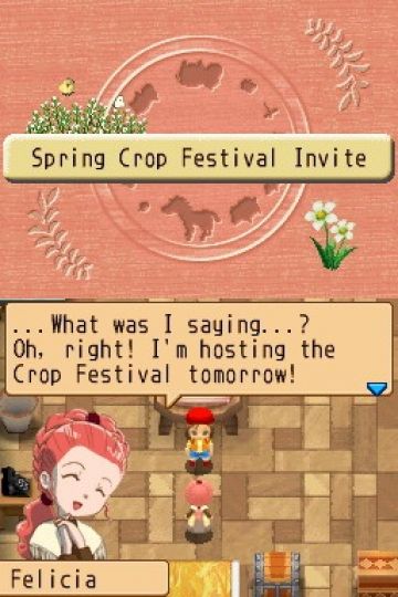 Immagine -9 del gioco Harvest Moon: L'Isola della Felicita' per Nintendo DS