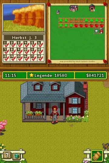 Immagine -5 del gioco Farm Life: Gestisci la Fattoria per Nintendo DS
