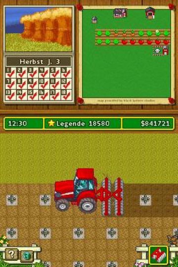 Immagine -16 del gioco Farm Life: Gestisci la Fattoria per Nintendo DS