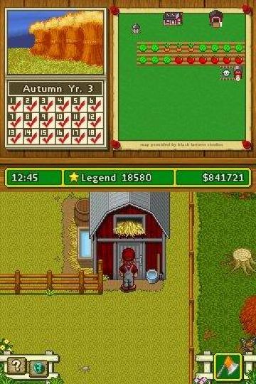 Immagine -1 del gioco Farm Life: Gestisci la Fattoria per Nintendo DS