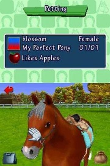 Immagine -17 del gioco Pony Friends per Nintendo DS