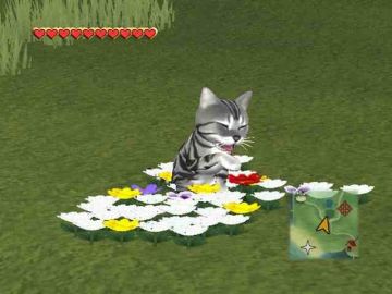 Immagine -5 del gioco Catz 2007 per PlayStation 2