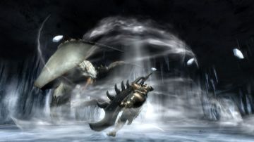 Immagine 17 del gioco Monster Hunter Tri per Nintendo Wii