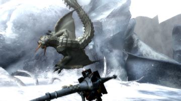Immagine 18 del gioco Monster Hunter Tri per Nintendo Wii