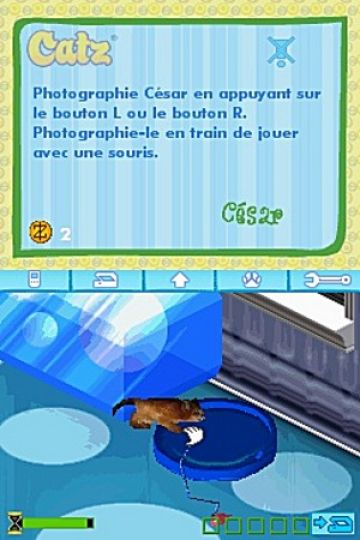 Immagine -17 del gioco Catz per Nintendo DS