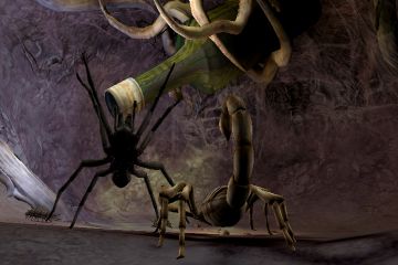 Immagine -2 del gioco Deadly Creatures per Nintendo Wii