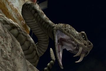 Immagine -7 del gioco Deadly Creatures per Nintendo Wii