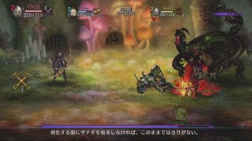 Immagine 17 del gioco Dragon's Crown per PSVITA