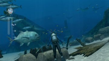 Immagine -8 del gioco Endless ocean 2 Avventure Negli Abissi per Nintendo Wii