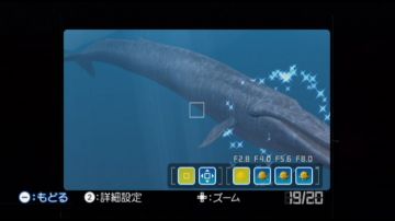 Immagine -6 del gioco Endless ocean 2 Avventure Negli Abissi per Nintendo Wii