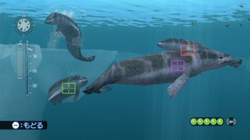 Immagine -9 del gioco Endless ocean 2 Avventure Negli Abissi per Nintendo Wii
