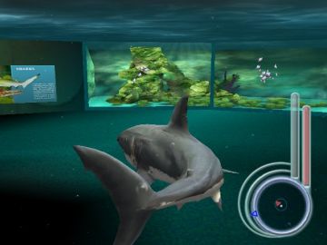 Immagine -13 del gioco Jaws lo Squalo per PlayStation 2