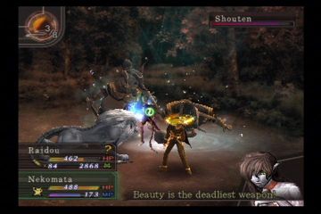 Immagine -2 del gioco Shin Megami Tensei: Devil Summoner: Raidou Kuzunoha vs. The Soulless Army per PlayStation 2