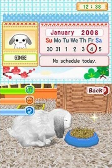 Immagine -5 del gioco Bunnyz per Nintendo DS