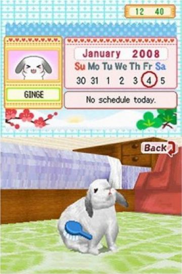 Immagine -4 del gioco Bunnyz per Nintendo DS