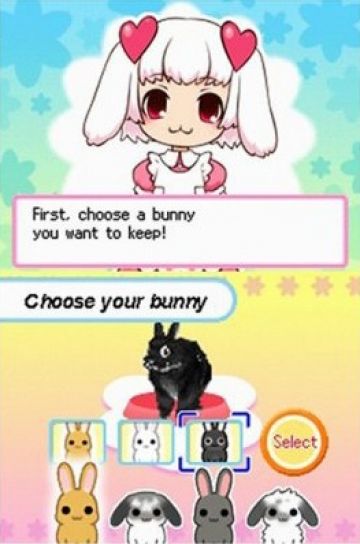 Immagine -3 del gioco Bunnyz per Nintendo DS