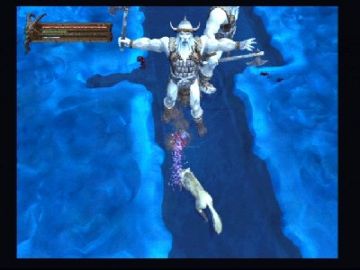 Immagine -17 del gioco Baldur's Gate: Dark Alliance per PlayStation 2