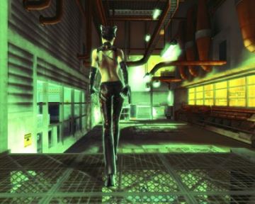 Immagine -1 del gioco Catwoman per PlayStation 2