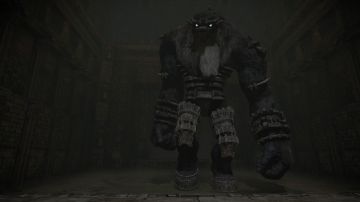 Immagine 69 del gioco Shadow Of The Colossus per PlayStation 4