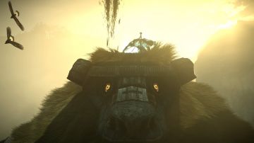 Immagine 61 del gioco Shadow Of The Colossus per PlayStation 4