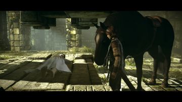 Immagine 67 del gioco Shadow Of The Colossus per PlayStation 4