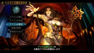 Immagine 10 del gioco Dragon's Crown Pro per PlayStation 4