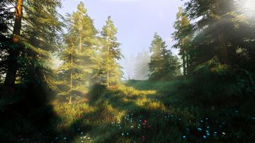 Immagine -10 del gioco Hunting Simulator 2 per PlayStation 4