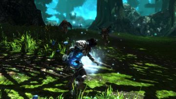 Immagine -8 del gioco Kingdoms of Amalur: Re-Reckoning per PlayStation 4
