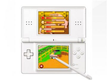 Immagine -14 del gioco Giulia Passione Veterinaria per Nintendo DS
