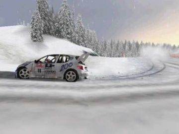 Immagine -2 del gioco Rally Championship per PlayStation 2