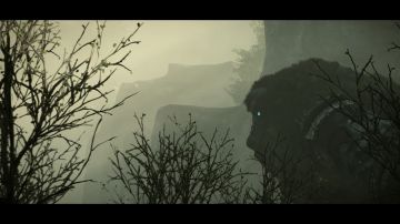 Immagine 16 del gioco Shadow Of The Colossus per PlayStation 4