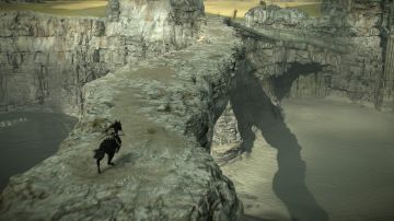 Immagine 24 del gioco Shadow Of The Colossus per PlayStation 4