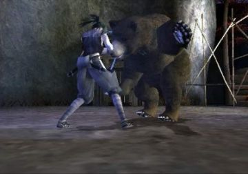 Immagine -2 del gioco Tenchu: Fatal Shadows per PlayStation 2