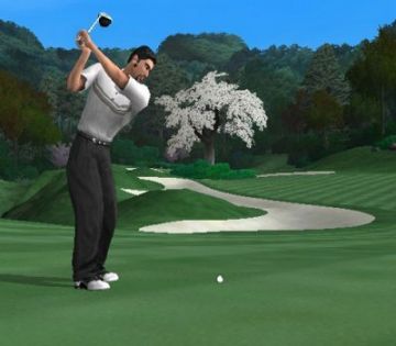 Immagine -3 del gioco Tiger Woods PGA Tour 2004 per PlayStation 2
