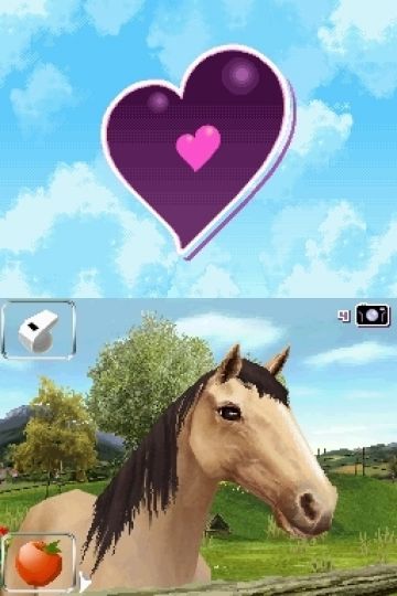 Immagine -5 del gioco Horse Life 2 avventure intorno al mondo per Nintendo DS