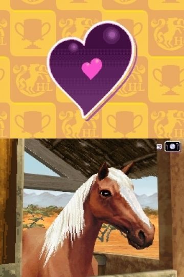 Immagine -2 del gioco Horse Life 2 avventure intorno al mondo per Nintendo DS