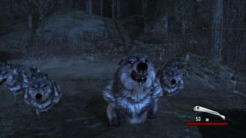 Immagine 26 del gioco Cabela's Dangerous Hunts 2011 per PlayStation 3