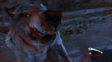 Immagine 18 del gioco Cabela's Dangerous Hunts 2011 per PlayStation 3