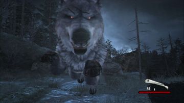 Immagine 19 del gioco Cabela's Dangerous Hunts 2011 per PlayStation 3