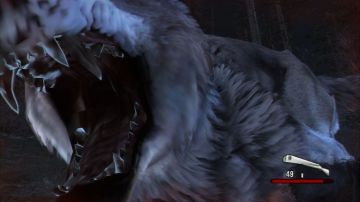 Immagine 20 del gioco Cabela's Dangerous Hunts 2011 per PlayStation 3