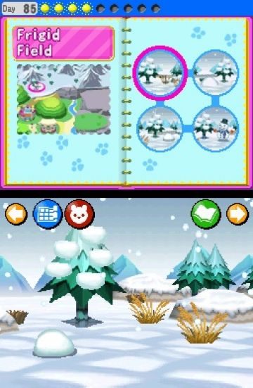 Immagine -10 del gioco My Pet Shop per Nintendo DS