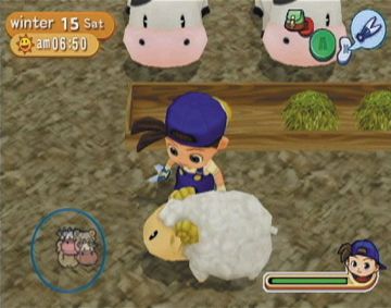 Immagine -4 del gioco Harvest Moon: Magical Melody per Nintendo Wii