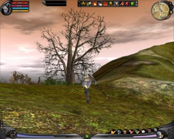 Immagine -1 del gioco Shaiya per Free2Play