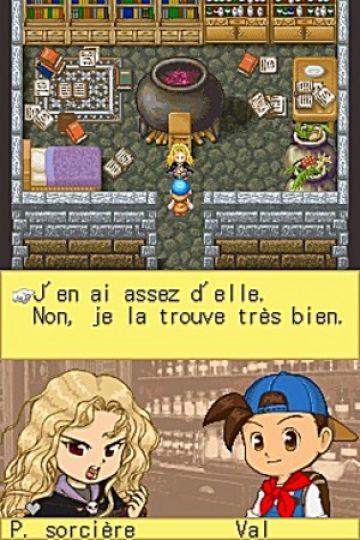 Immagine -16 del gioco Harvest Moon DS per Nintendo DS