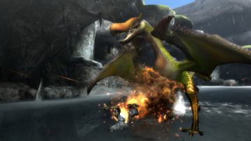 Immagine 12 del gioco Monster Hunter Tri per Nintendo Wii
