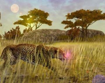 Immagine -14 del gioco Cabela's African Safari per Xbox 360