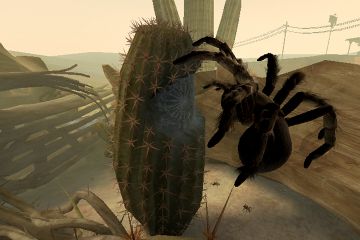 Immagine -4 del gioco Deadly Creatures per Nintendo Wii
